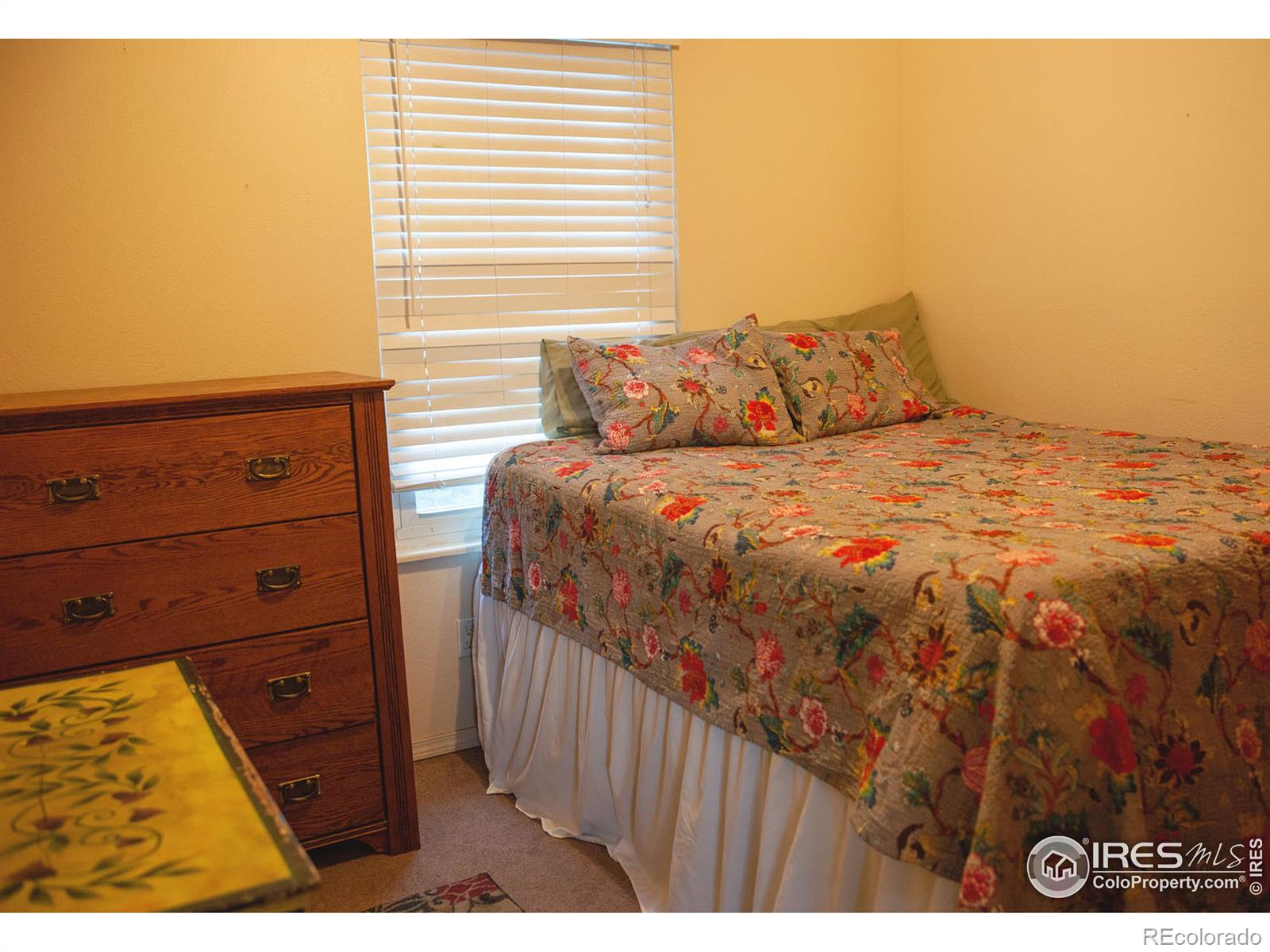 MLS Image #15 for 10738  birch court,thornton, Colorado