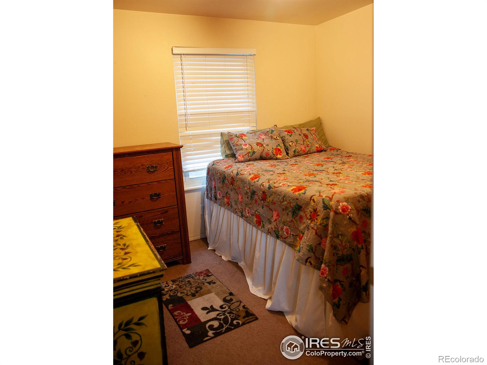 MLS Image #16 for 10738  birch court,thornton, Colorado