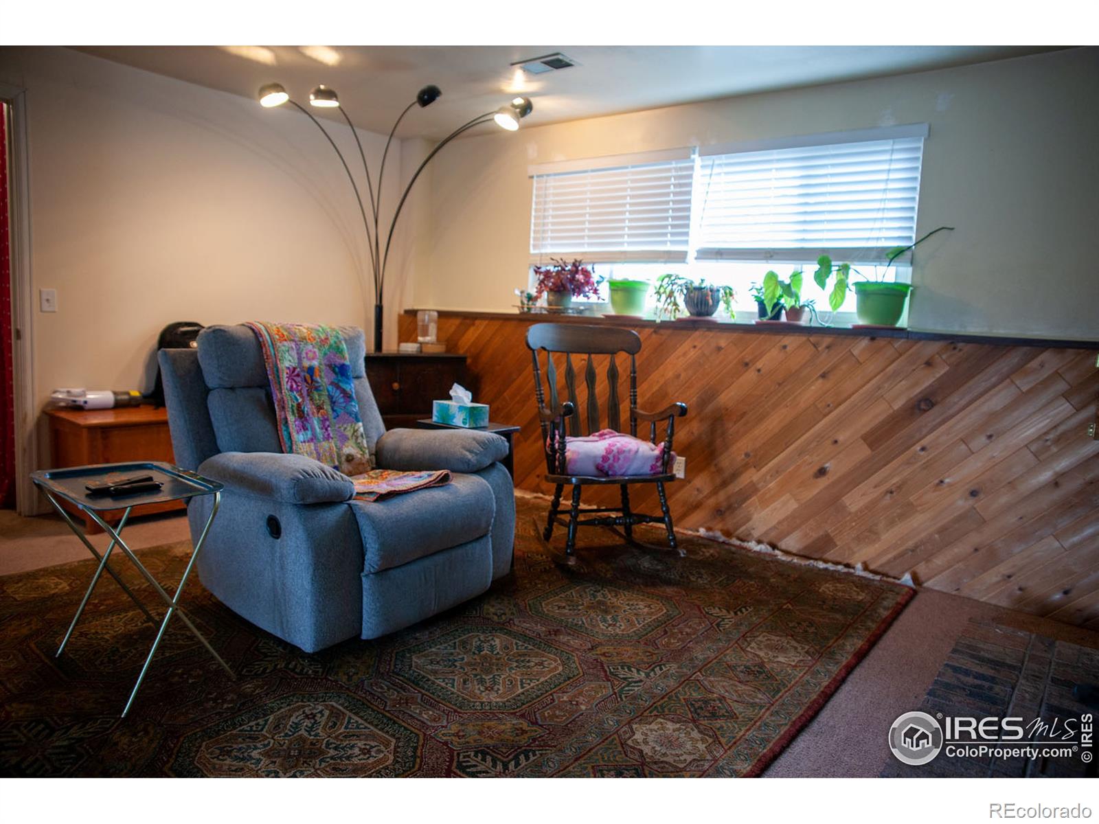 MLS Image #18 for 10738  birch court,thornton, Colorado