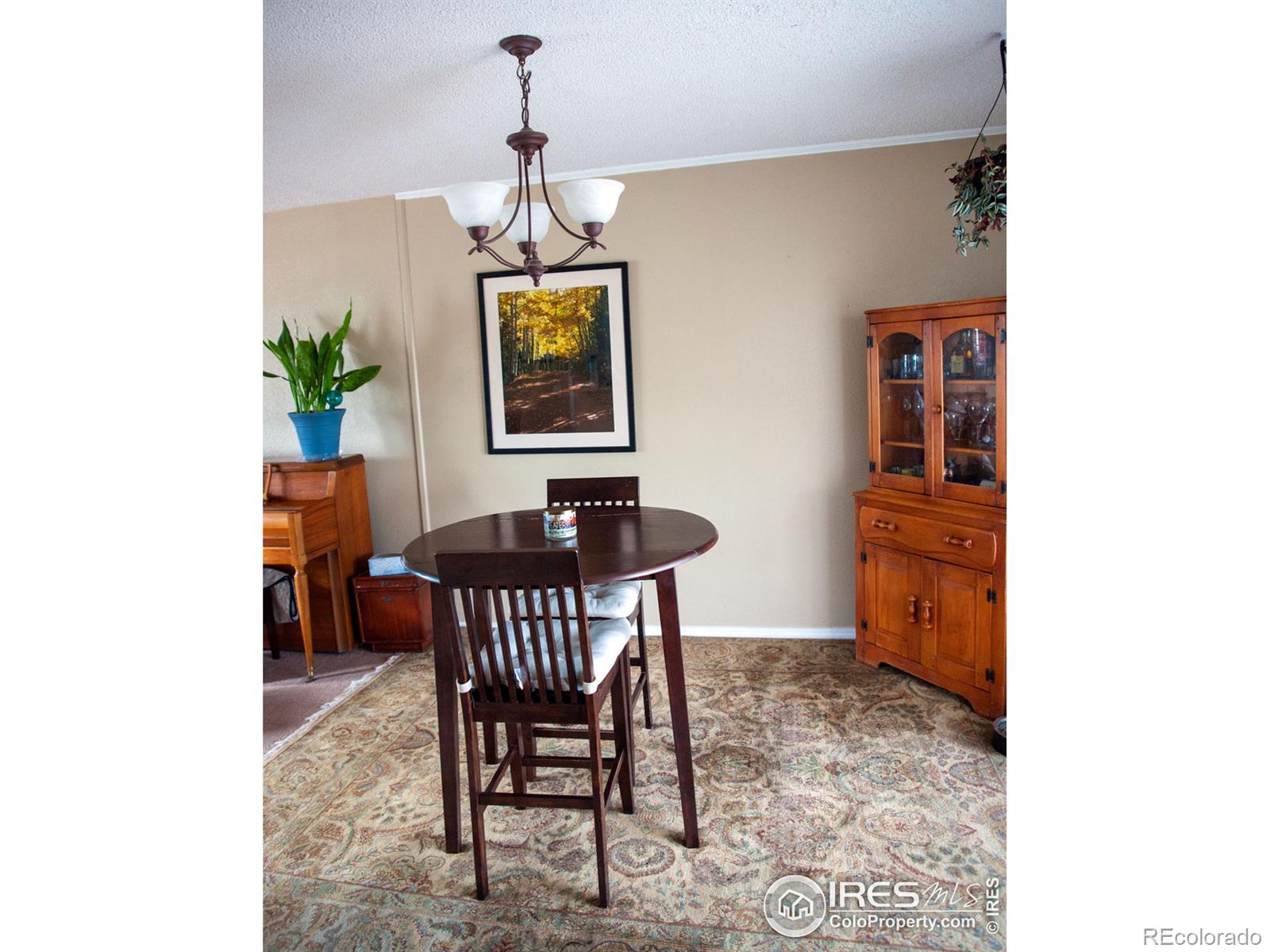 MLS Image #7 for 10738  birch court,thornton, Colorado