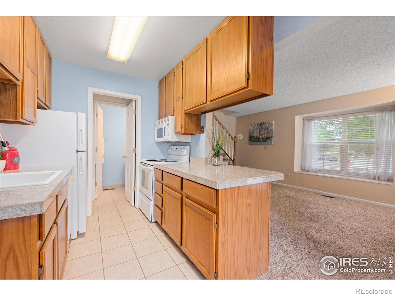 MLS Image #10 for 1301  baker street,longmont, Colorado
