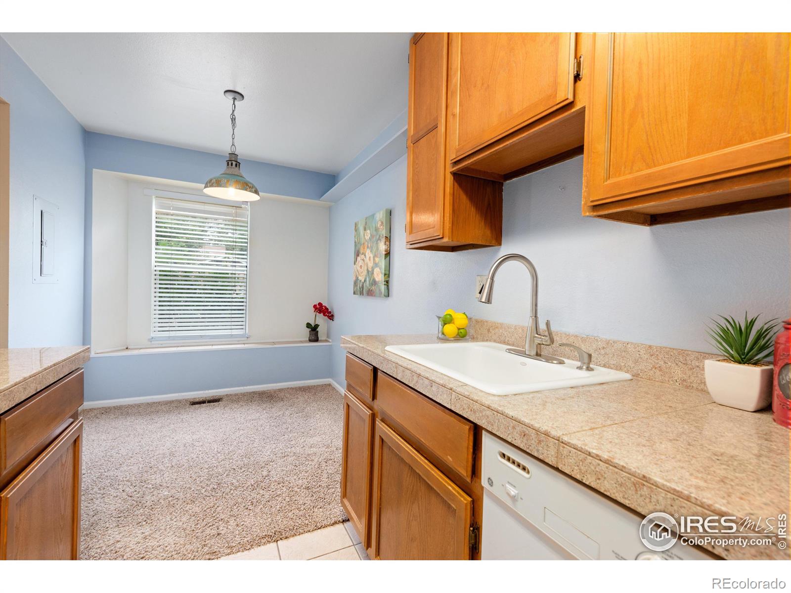 MLS Image #11 for 1301  baker street,longmont, Colorado