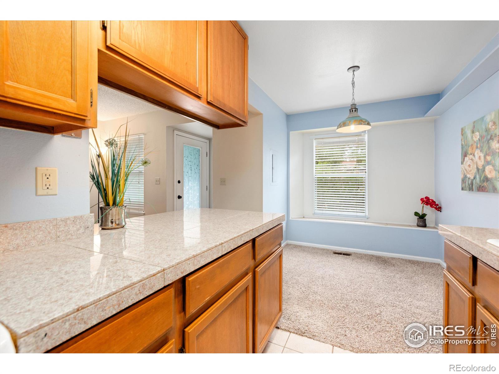 MLS Image #12 for 1301  baker street,longmont, Colorado