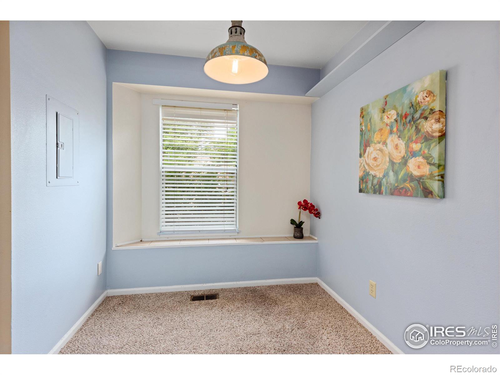 MLS Image #14 for 1301  baker street,longmont, Colorado
