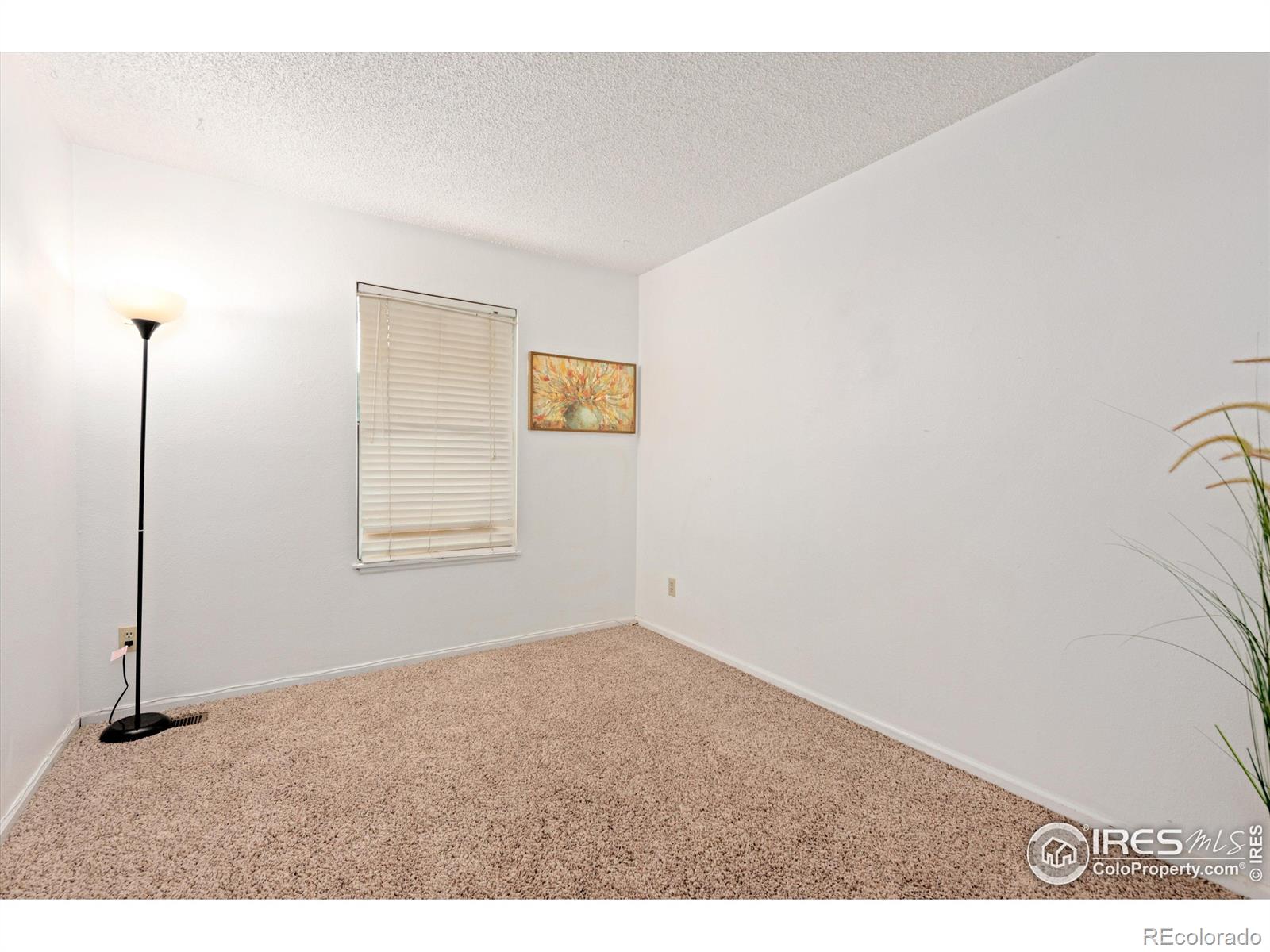 MLS Image #21 for 1301  baker street,longmont, Colorado