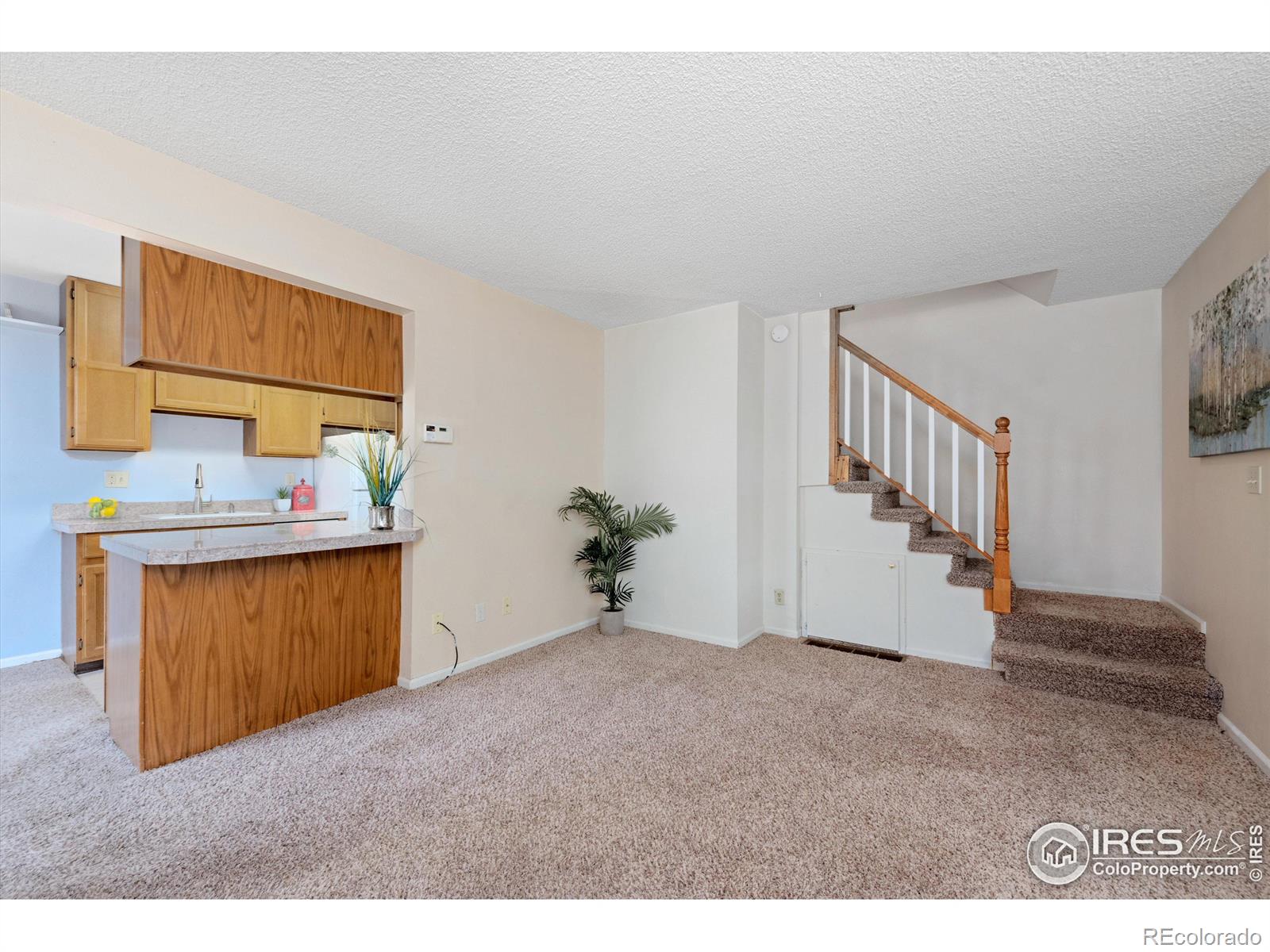 MLS Image #5 for 1301  baker street,longmont, Colorado