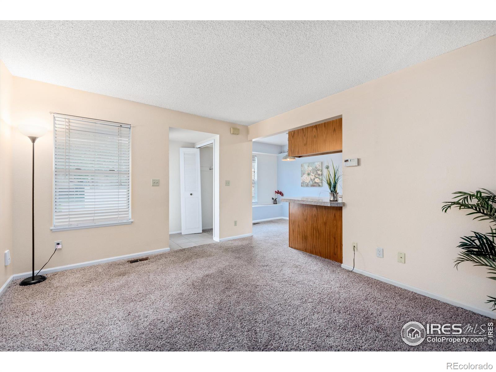 MLS Image #6 for 1301  baker street,longmont, Colorado
