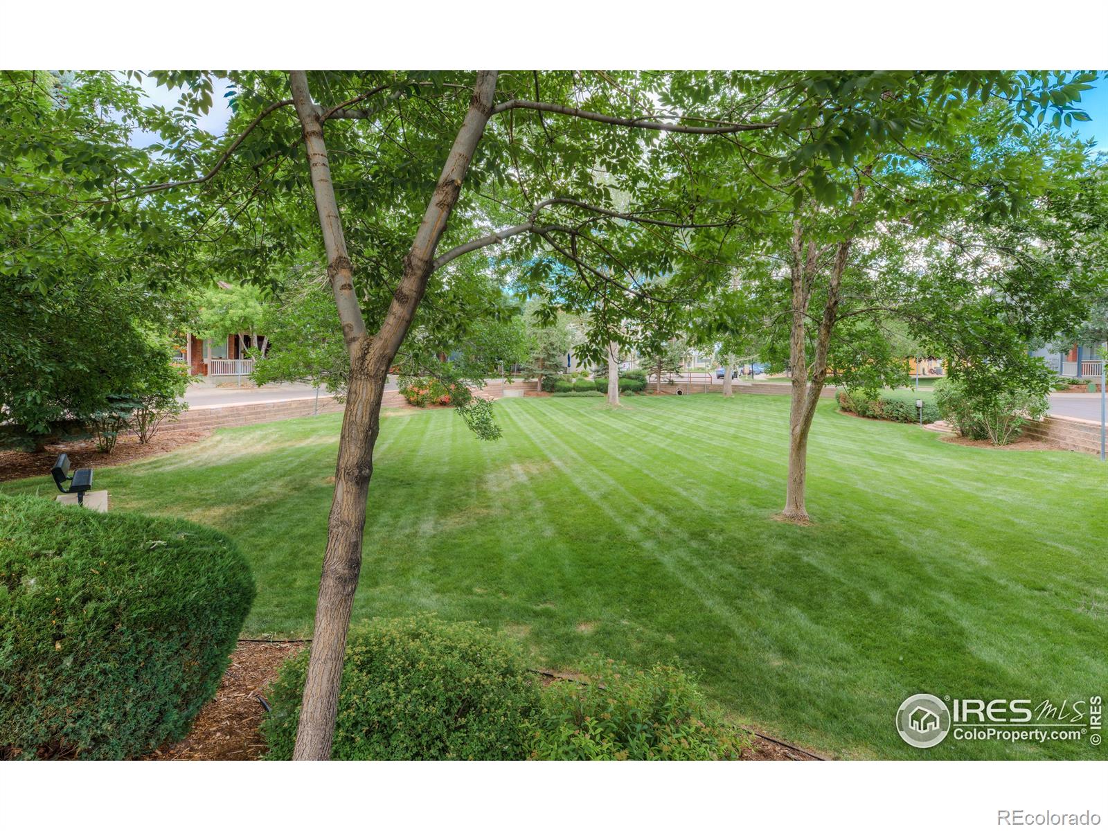 MLS Image #24 for 818 s terry street,longmont, Colorado