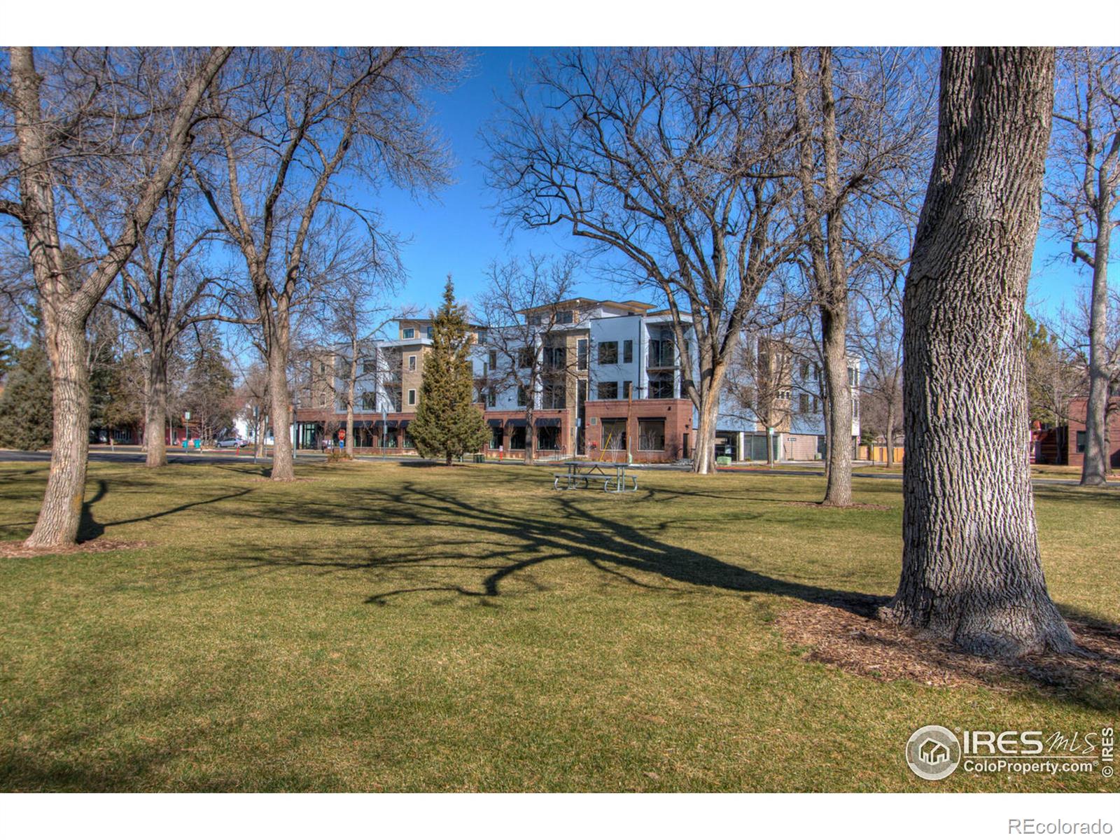 MLS Image #1 for 302 n meldrum street,fort collins, Colorado