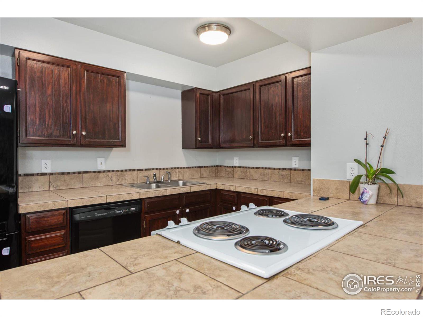 MLS Image #4 for 307 e 4th avenue,longmont, Colorado