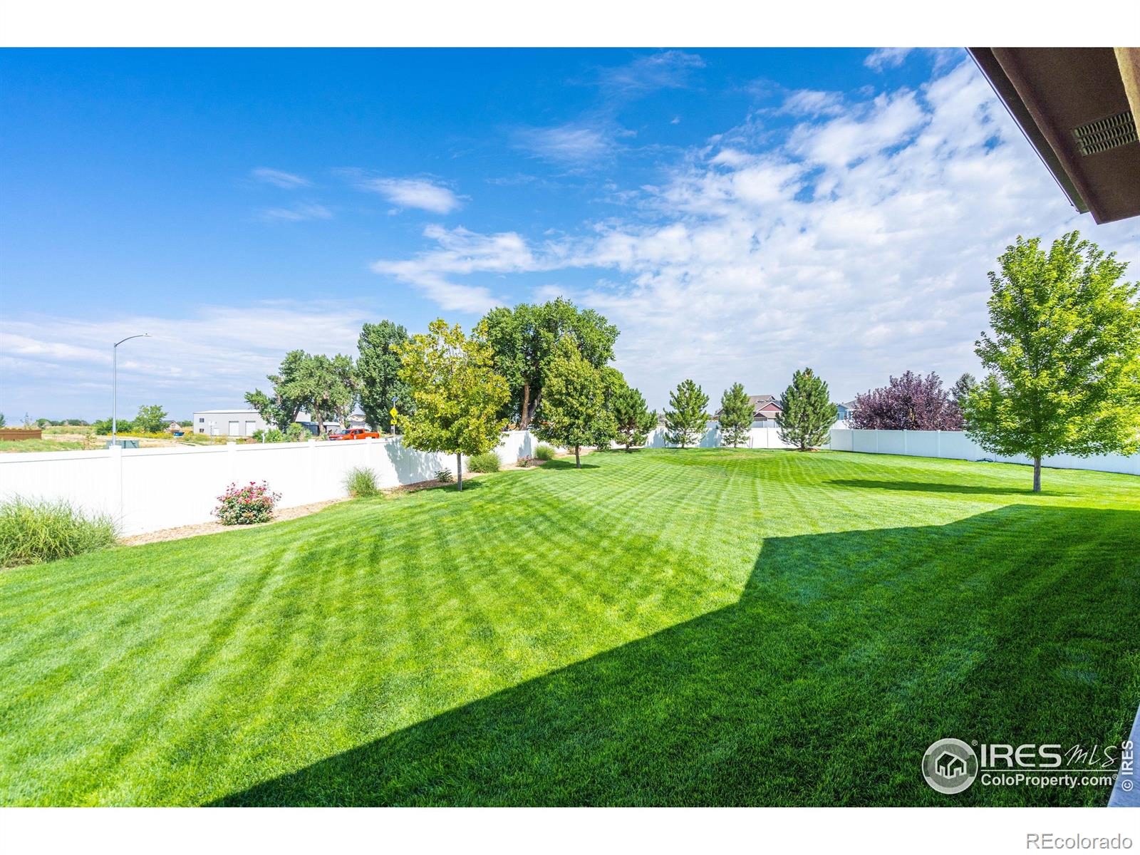 MLS Image #32 for 672  yukon court,windsor, Colorado