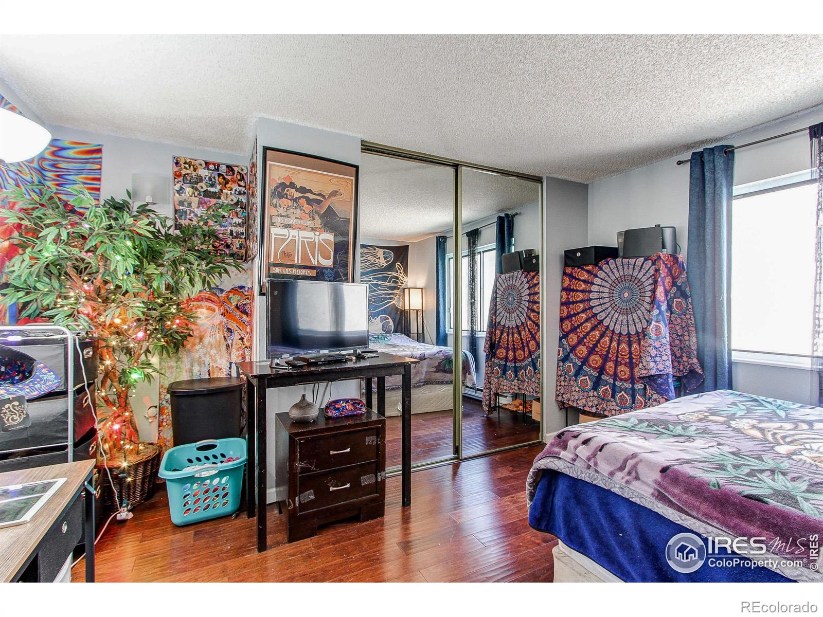 MLS Image #12 for 710  city park avenue,fort collins, Colorado