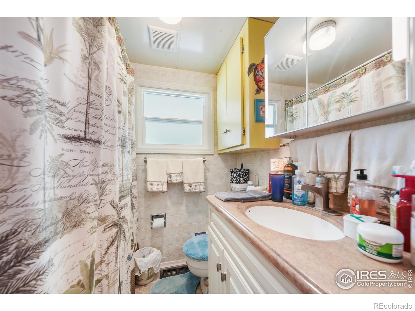 MLS Image #9 for 308  cameron street,brush, Colorado