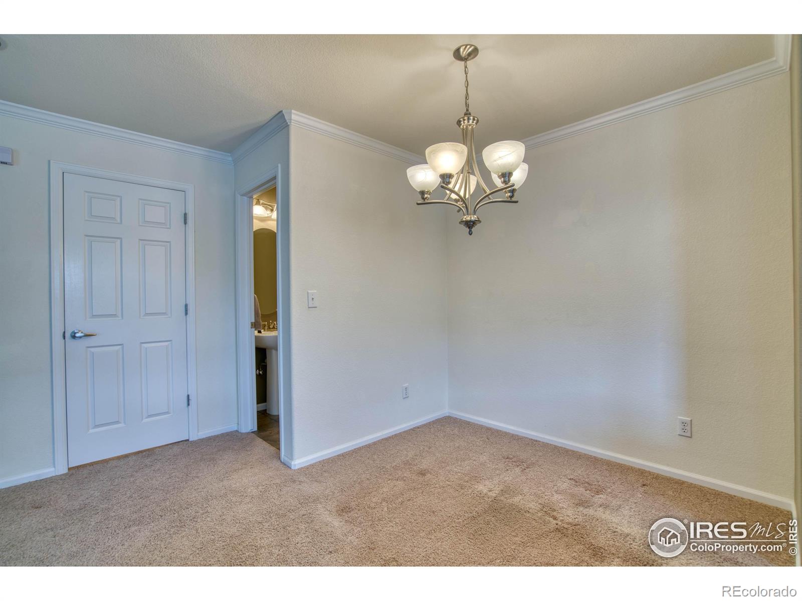 MLS Image #11 for 14300  waterside lane,broomfield, Colorado