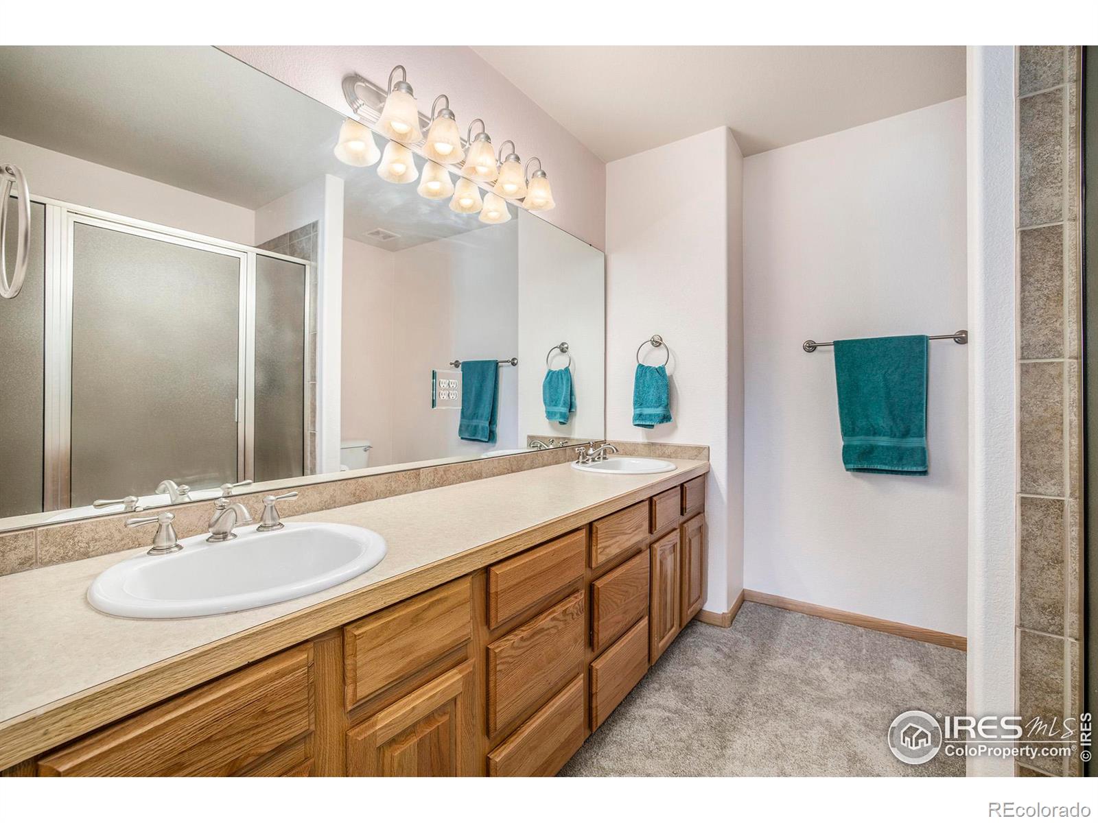 MLS Image #14 for 1770  suntide drive,johnstown, Colorado