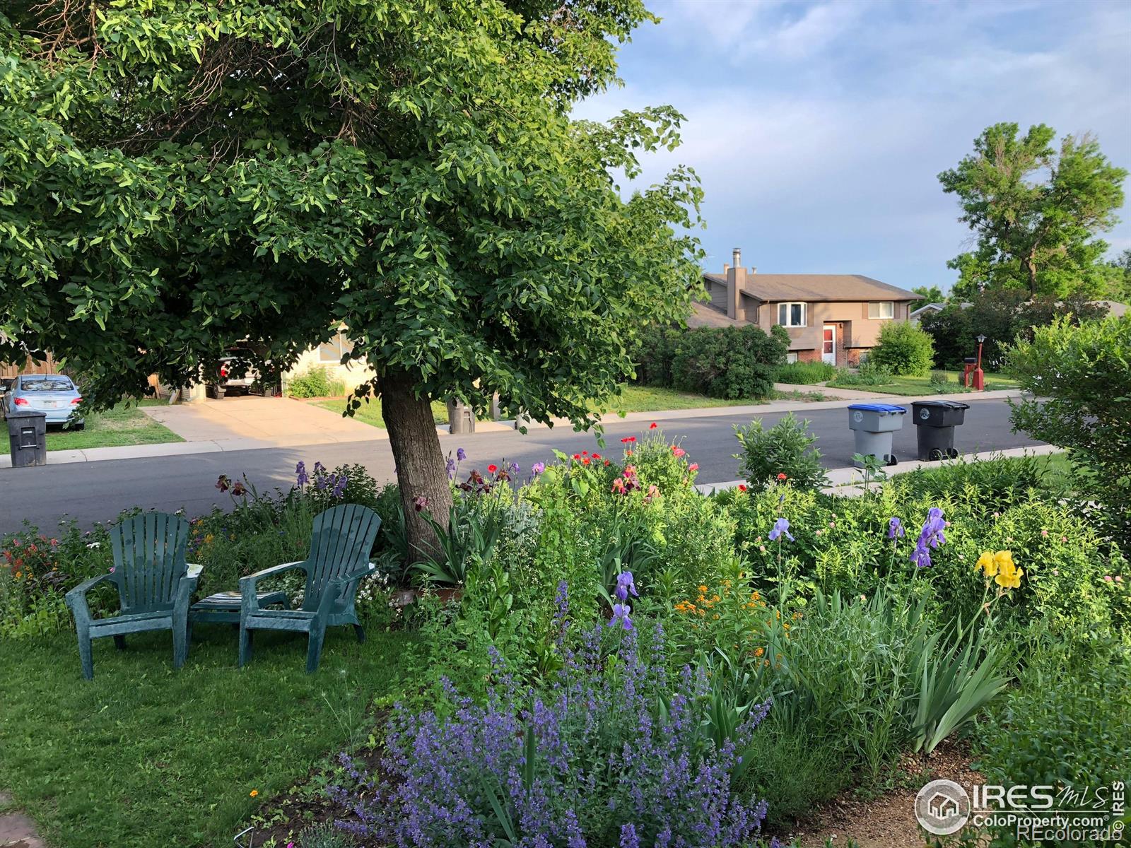 MLS Image #16 for 437  fox street,longmont, Colorado