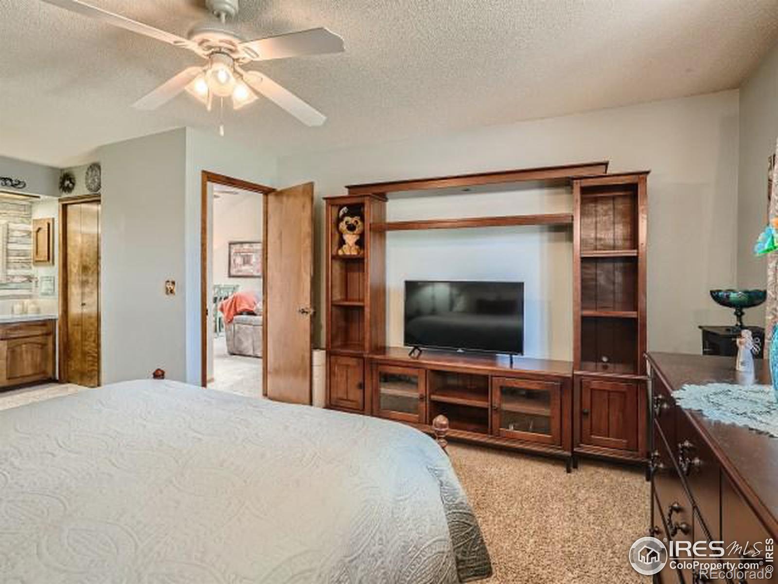 MLS Image #16 for 1215  aspen place,loveland, Colorado