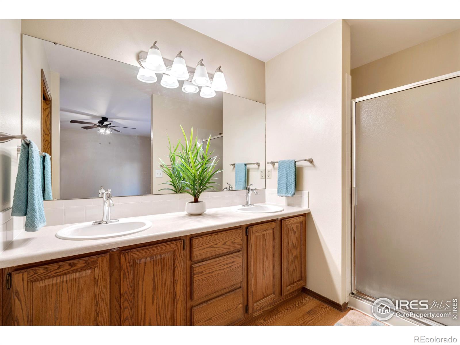 MLS Image #13 for 2020  niagara court,fort collins, Colorado