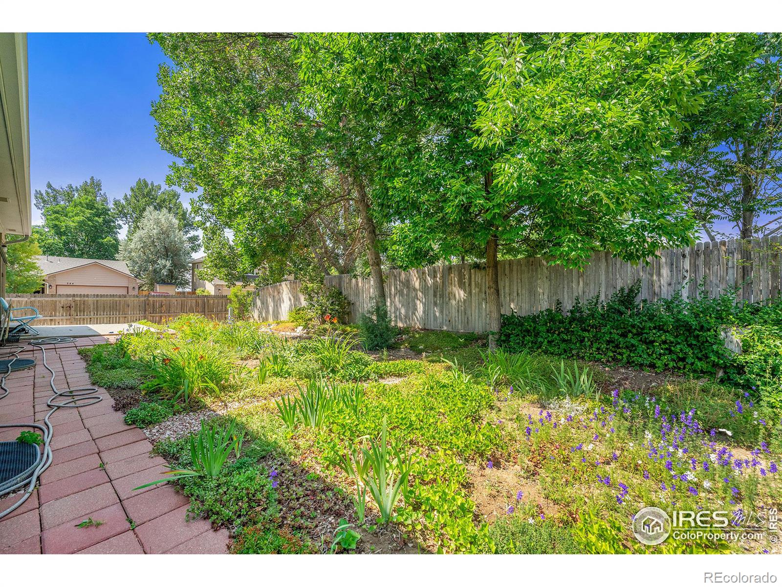 MLS Image #26 for 537  redwood circle,berthoud, Colorado