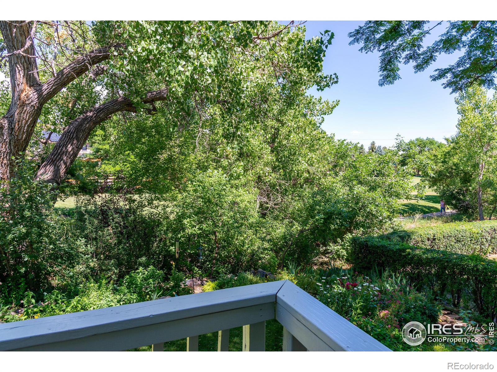 MLS Image #19 for 1851 w barberry court,louisville, Colorado