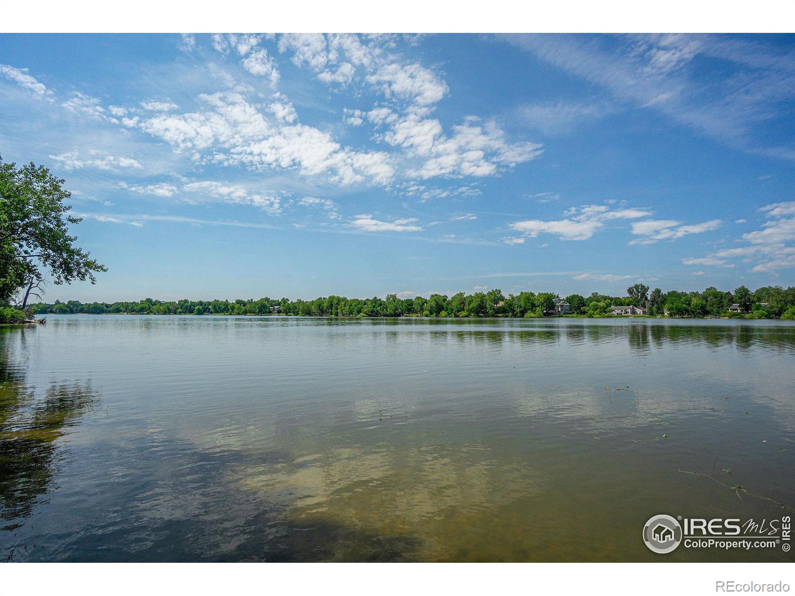 MLS Image #24 for 619  warren lndg,fort collins, Colorado