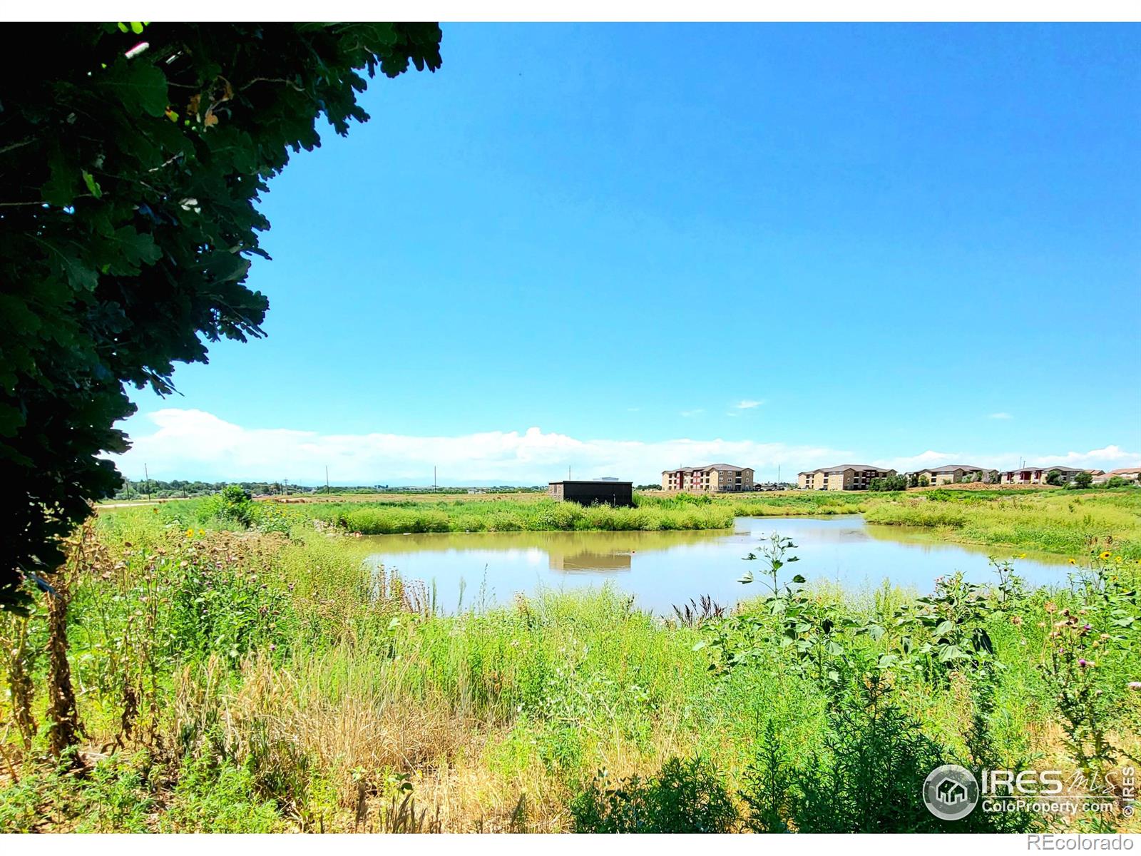 MLS Image #25 for 3622  sienna avenue,evans, Colorado