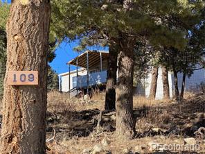 MLS Image #0 for 109  county road 39 ,coaldale, Colorado