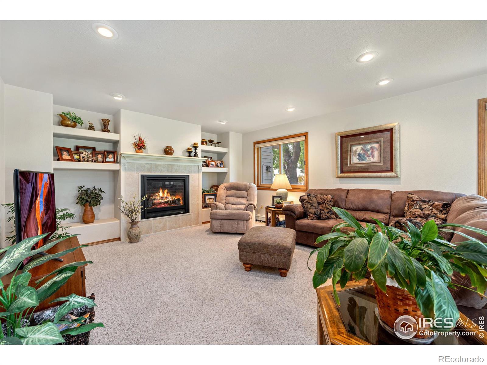 MLS Image #10 for 5  cambridge court,brush, Colorado