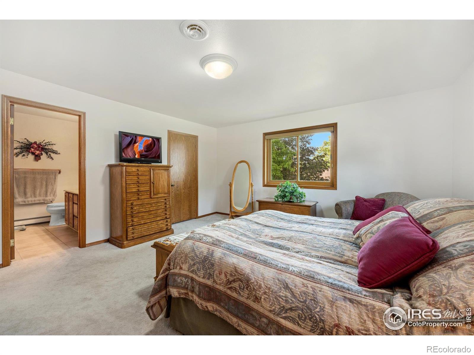 MLS Image #13 for 5  cambridge court,brush, Colorado