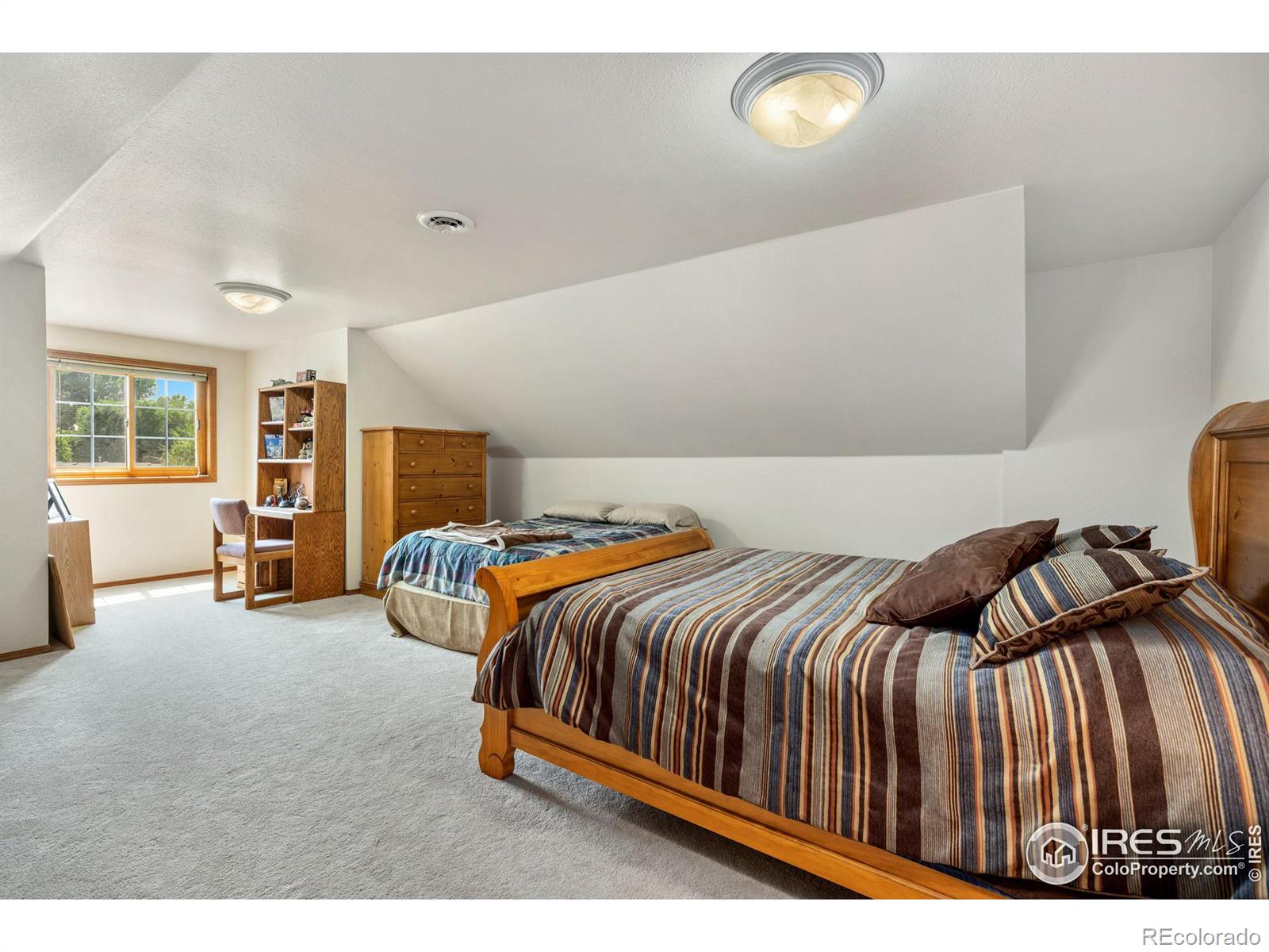 MLS Image #15 for 5  cambridge court,brush, Colorado