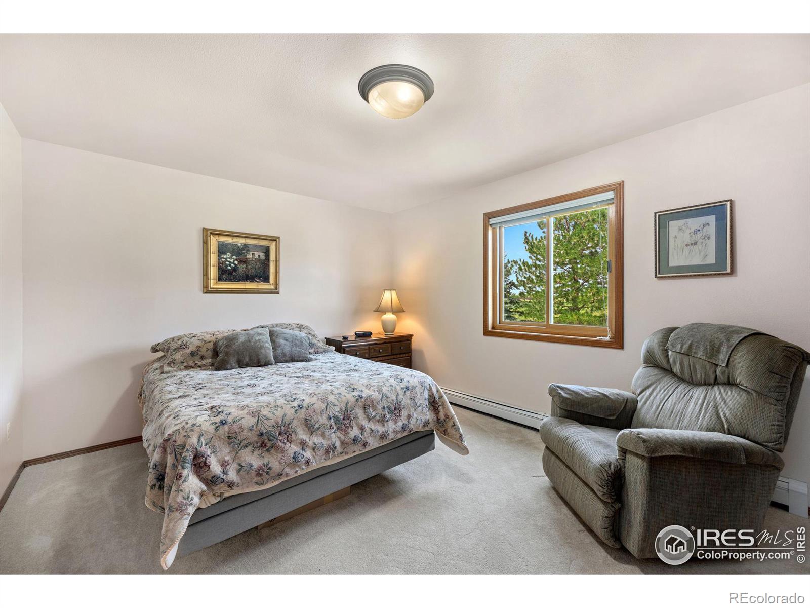 MLS Image #16 for 5  cambridge court,brush, Colorado