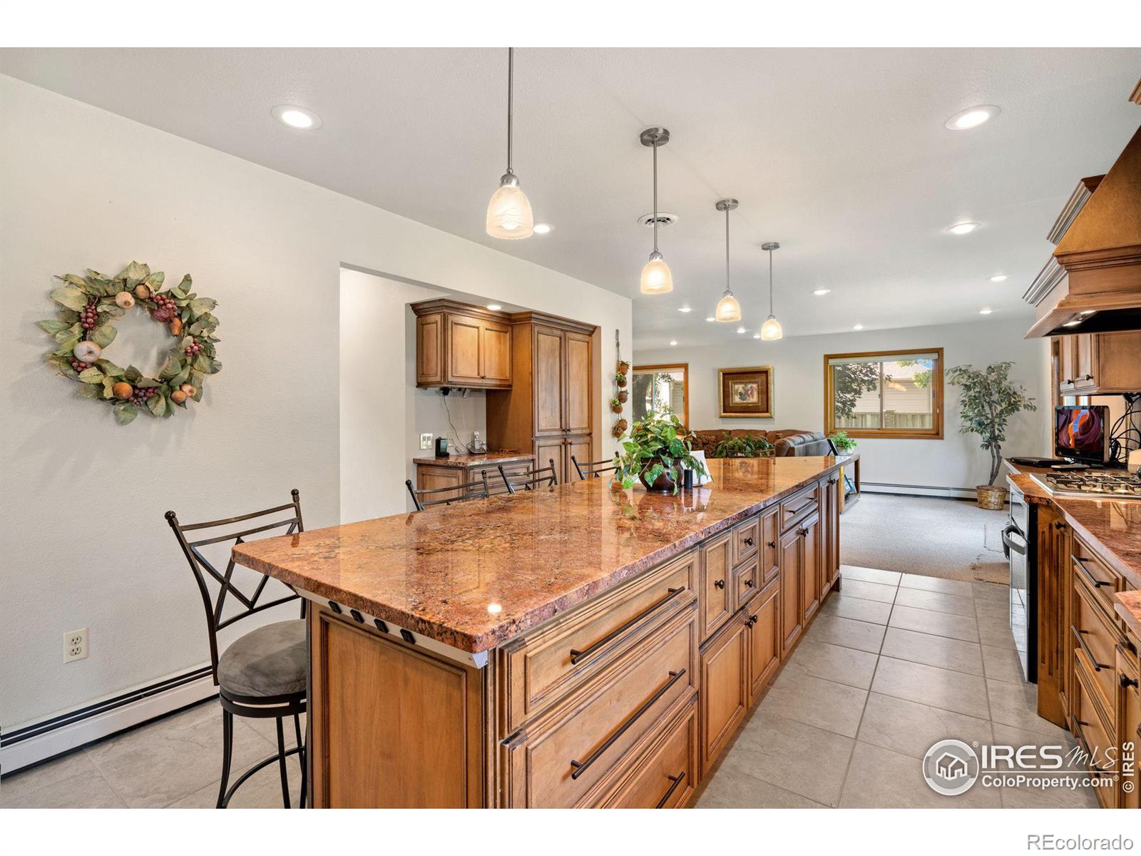 MLS Image #8 for 5  cambridge court,brush, Colorado