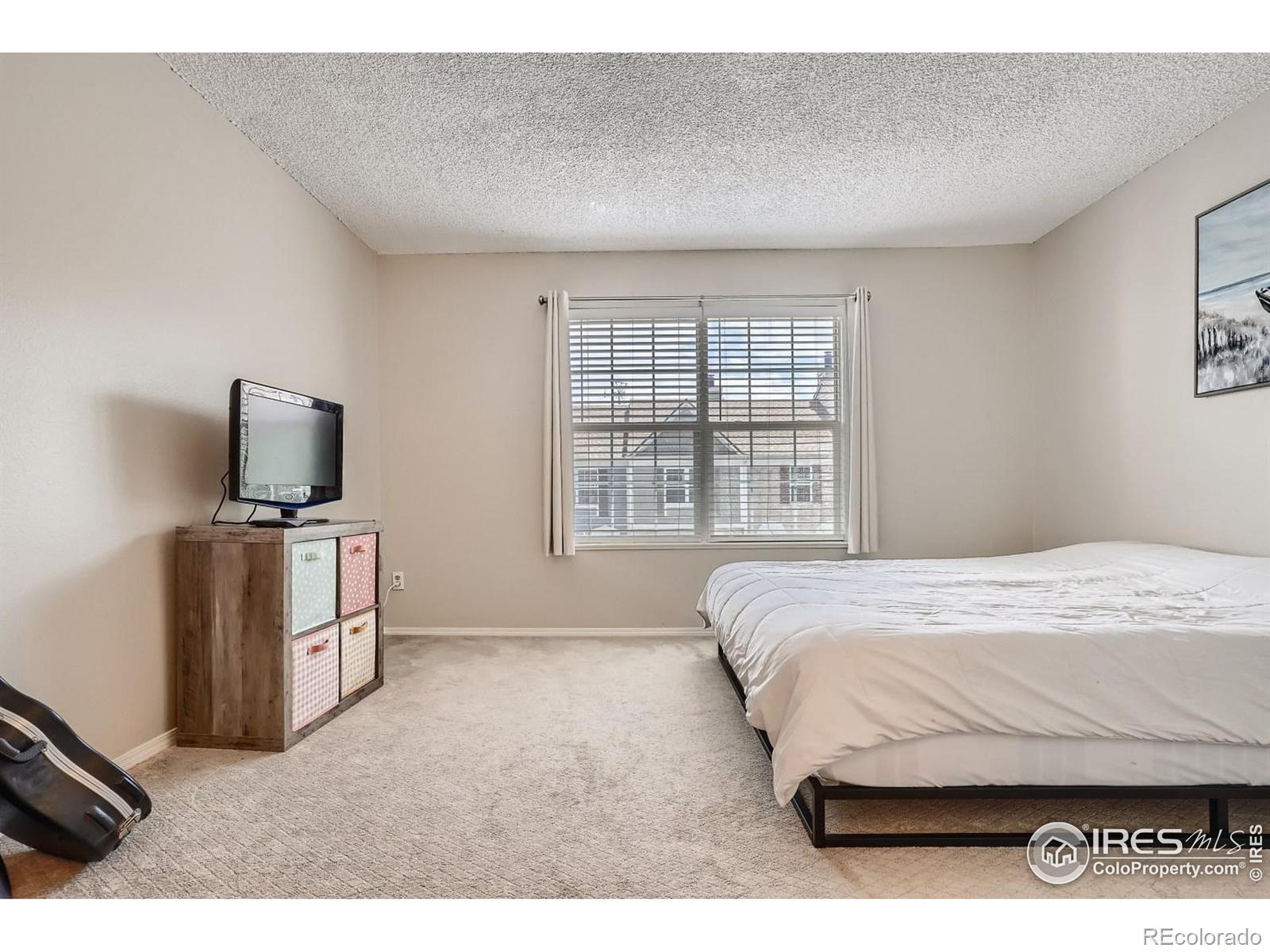 MLS Image #12 for 1699 s trenton street,denver, Colorado