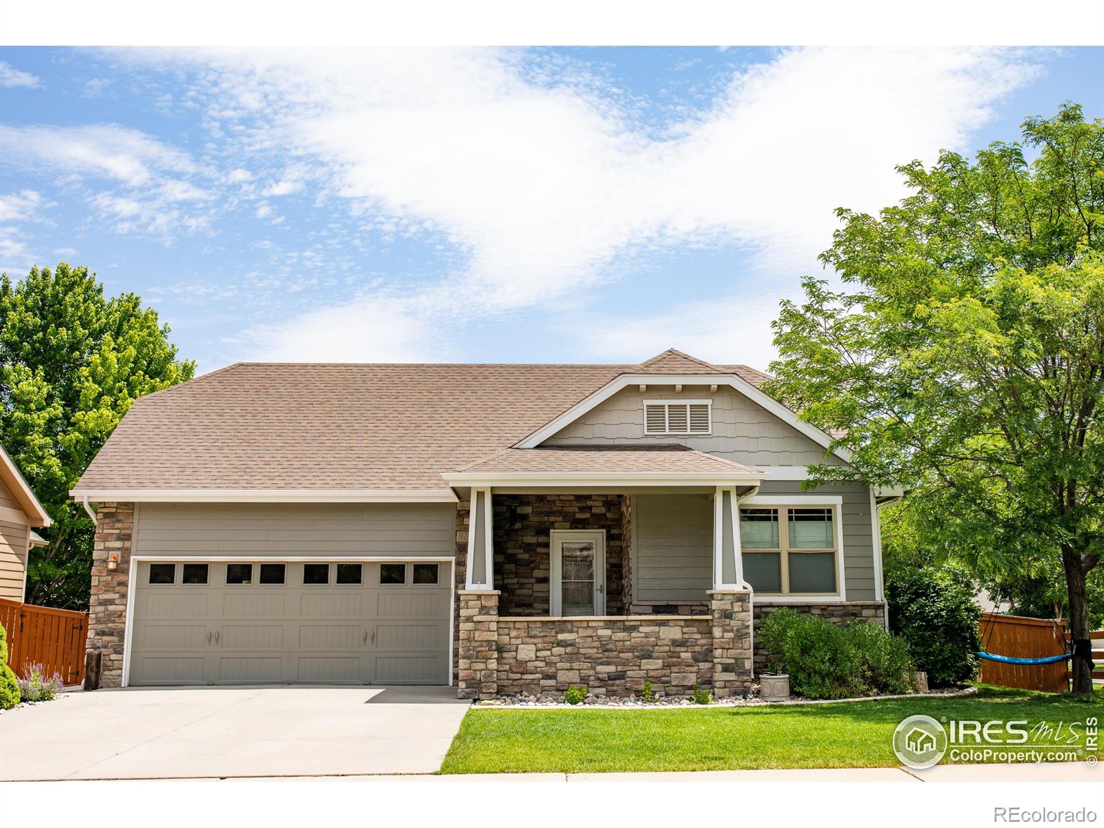 Report Image for 4560  Ridgway Drive,Loveland, Colorado