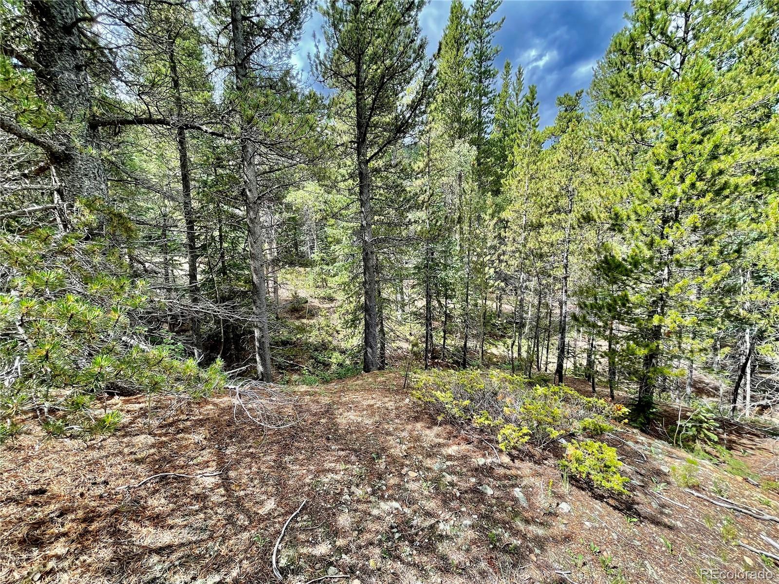 MLS Image #2 for 279  columbine drive,idaho springs, Colorado