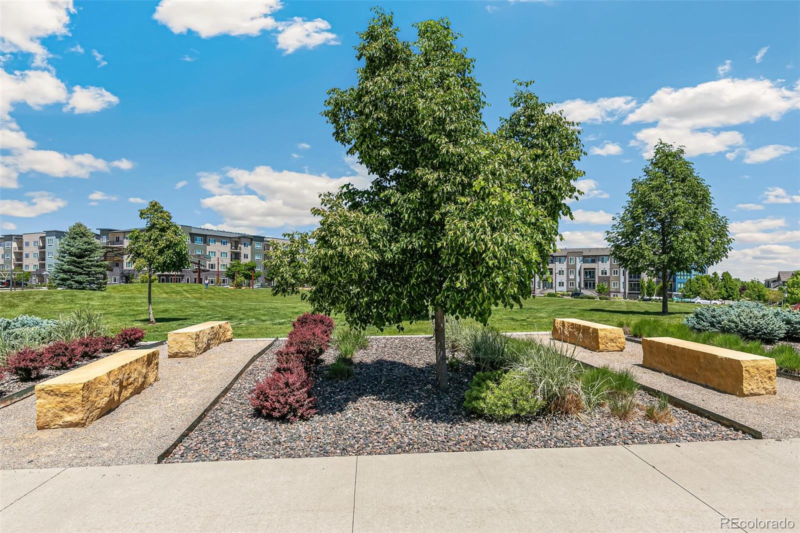 MLS Image #34 for 568 e dry creek place,littleton, Colorado