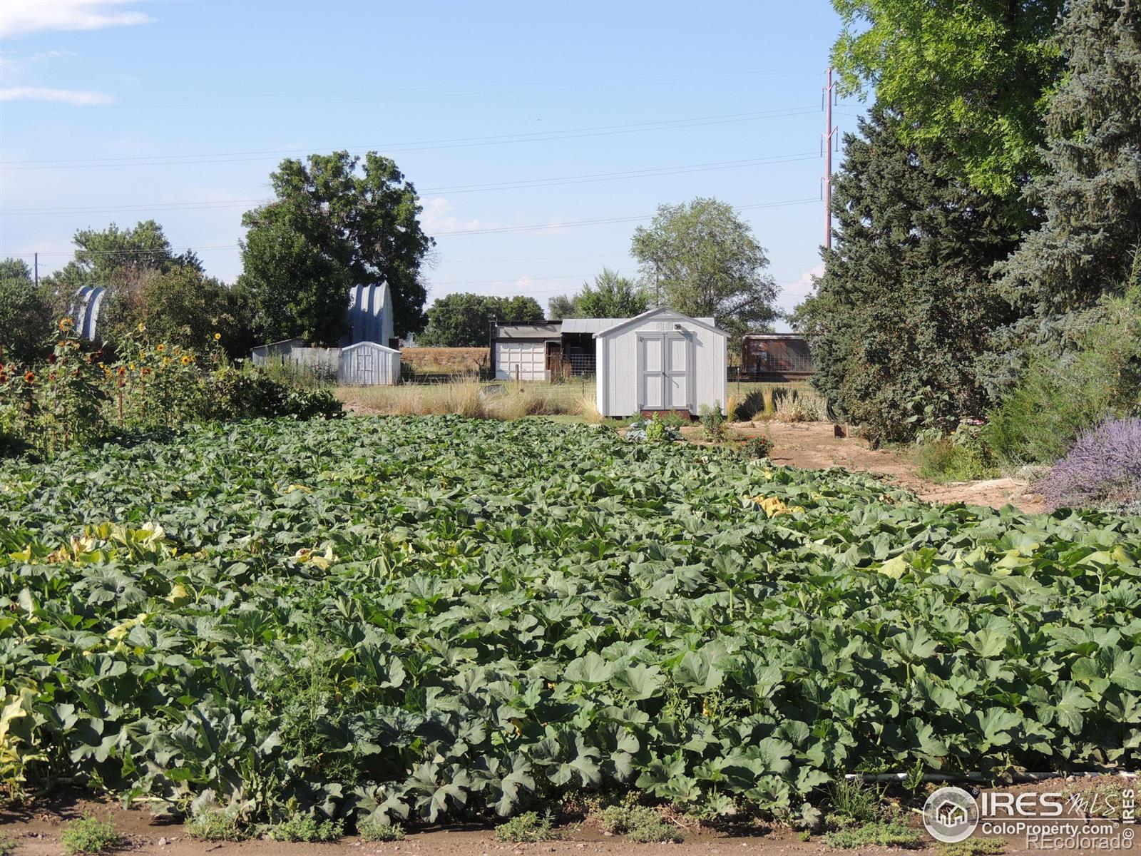 MLS Image #23 for 3920 ne county line road,erie, Colorado