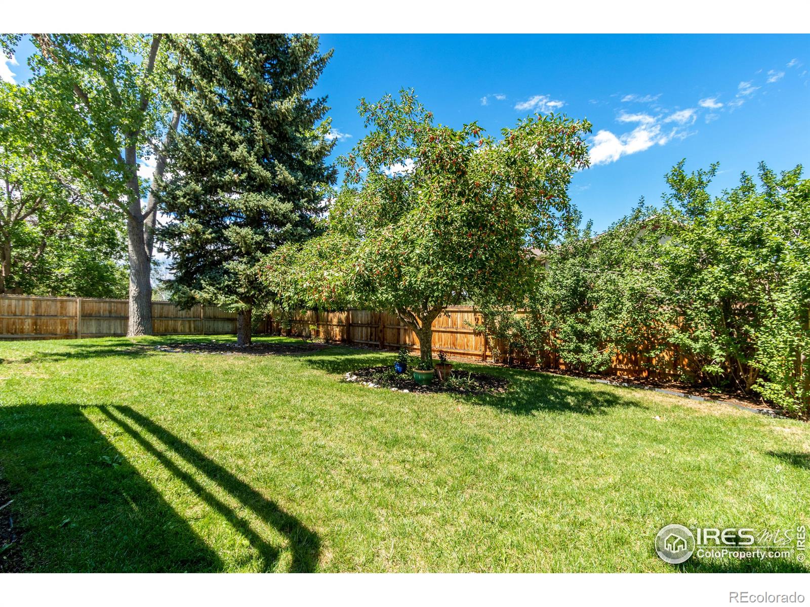 MLS Image #34 for 979 w willow street,louisville, Colorado