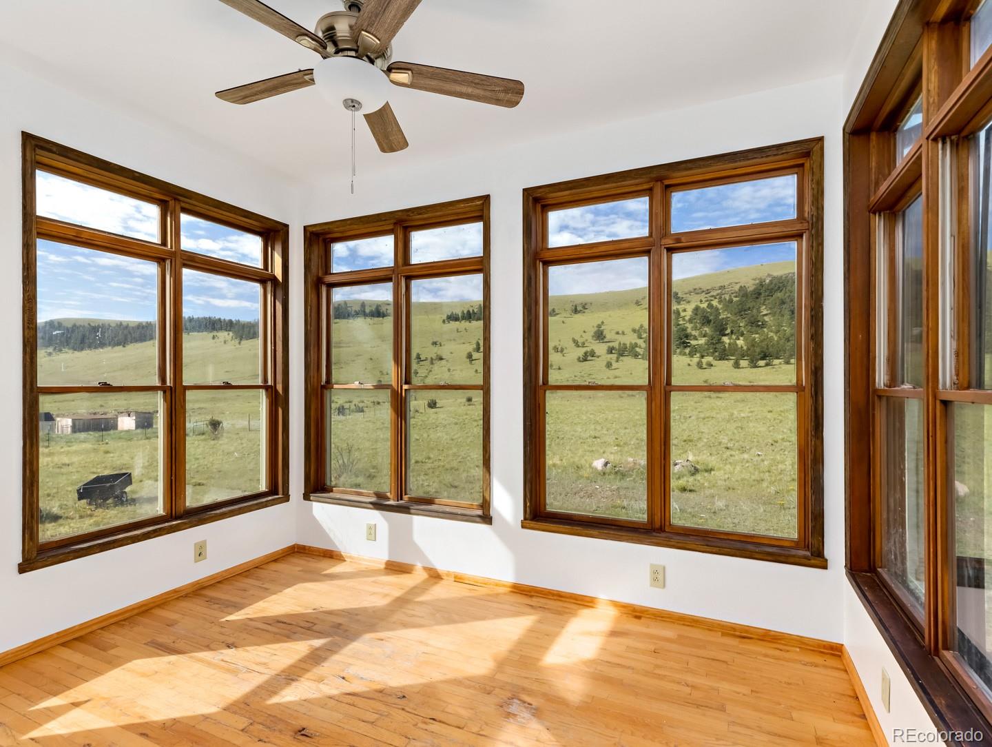 MLS Image #6 for 3448  county road 352a road,canon city, Colorado