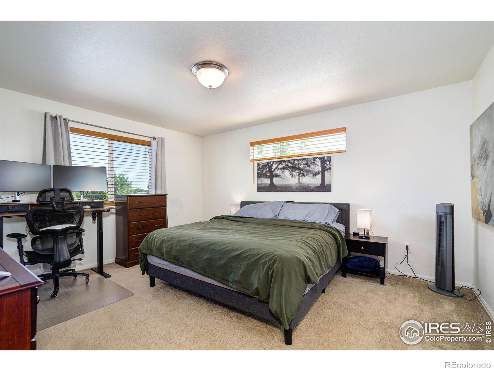 MLS Image #15 for 11448  coal ridge street,firestone, Colorado