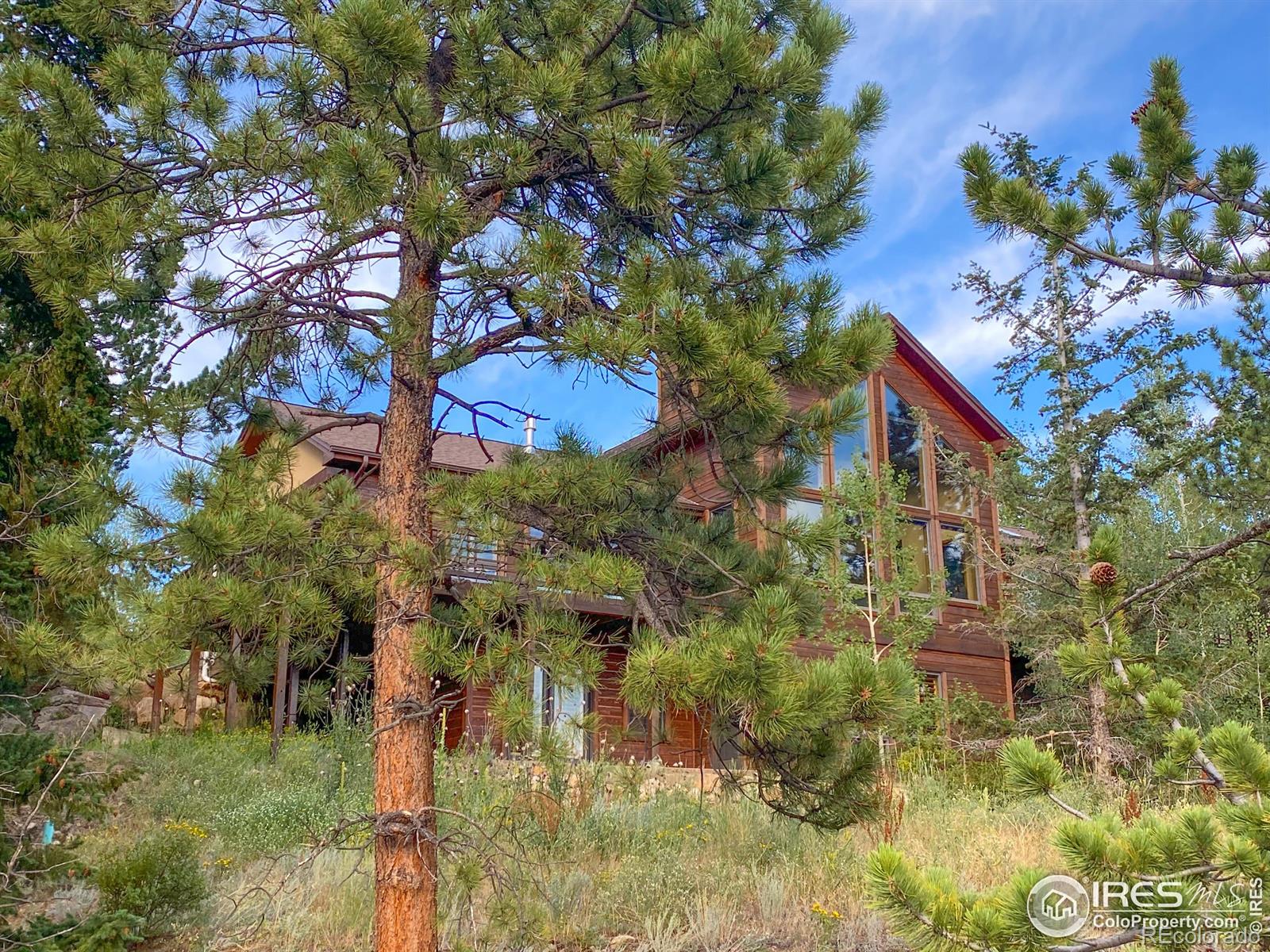 MLS Image #1 for 780  alpine drive,estes park, Colorado