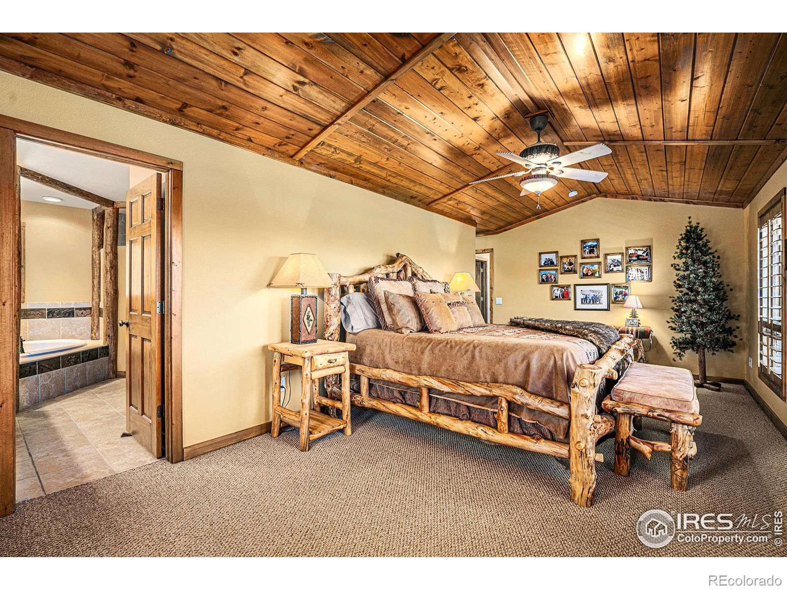 MLS Image #15 for 780  alpine drive,estes park, Colorado