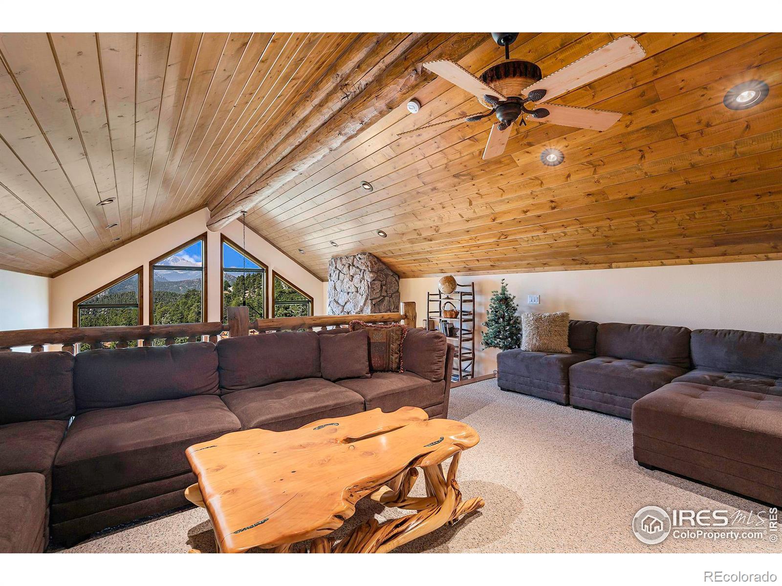 MLS Image #19 for 780  alpine drive,estes park, Colorado