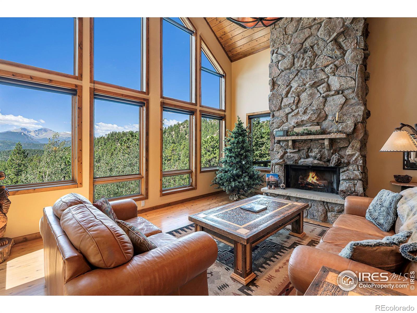 MLS Image #6 for 780  alpine drive,estes park, Colorado