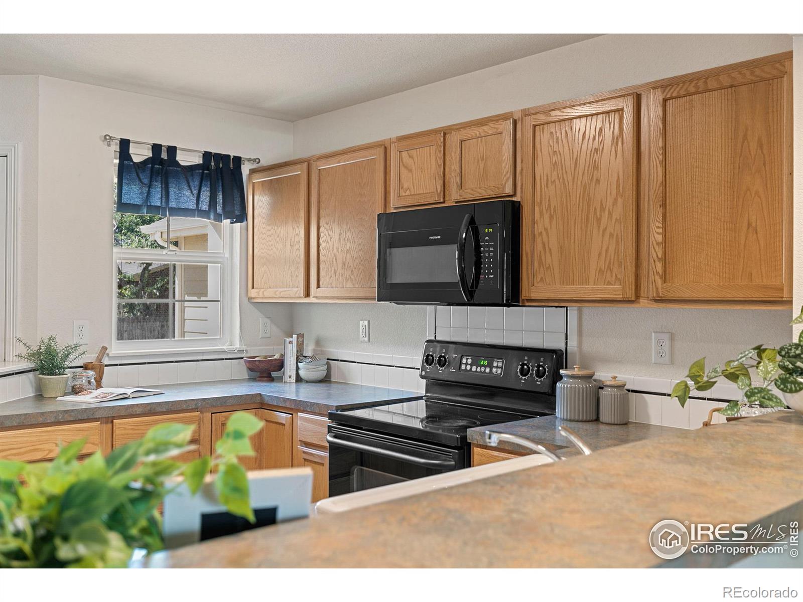 MLS Image #5 for 1003  andrews peak drive,fort collins, Colorado