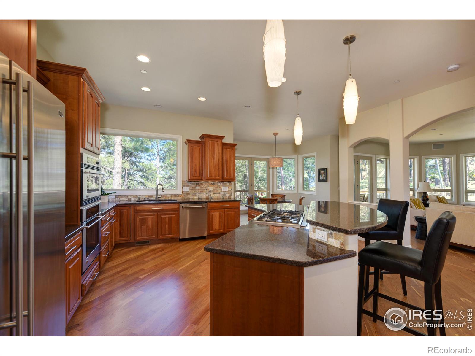 MLS Image #2 for 75  alder lane,boulder, Colorado