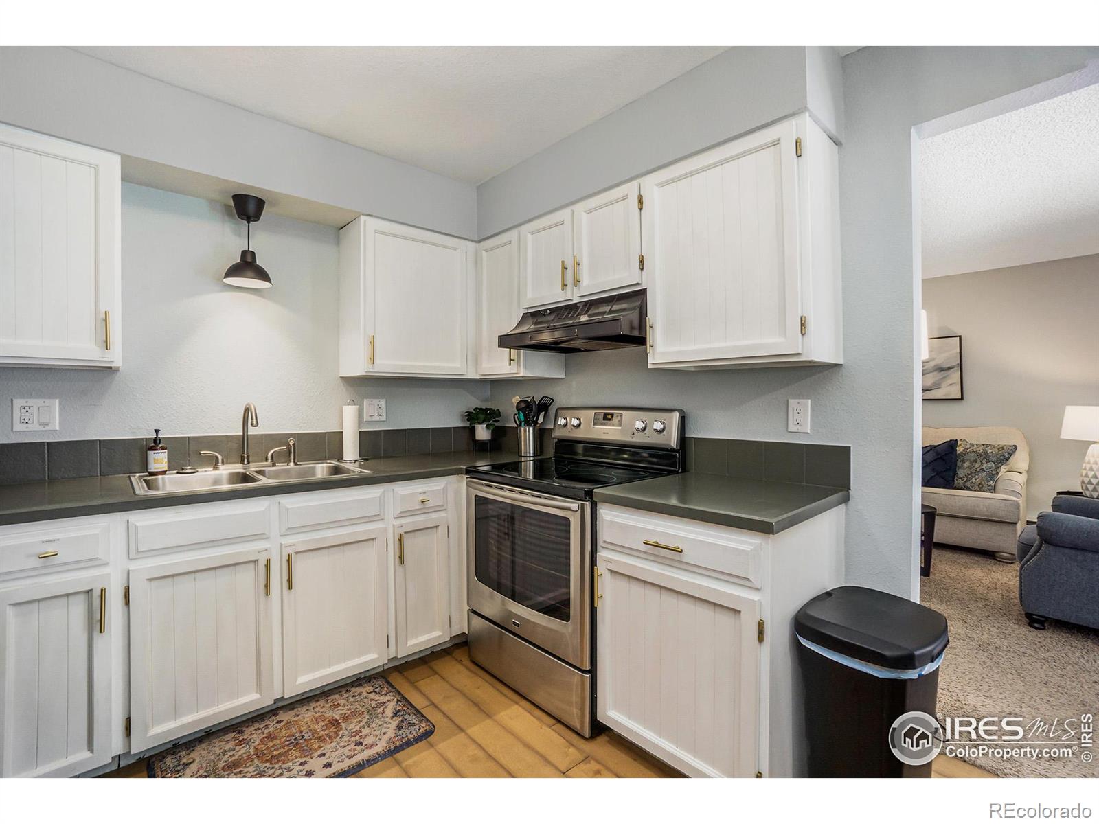 MLS Image #10 for 3100  regatta lane,fort collins, Colorado