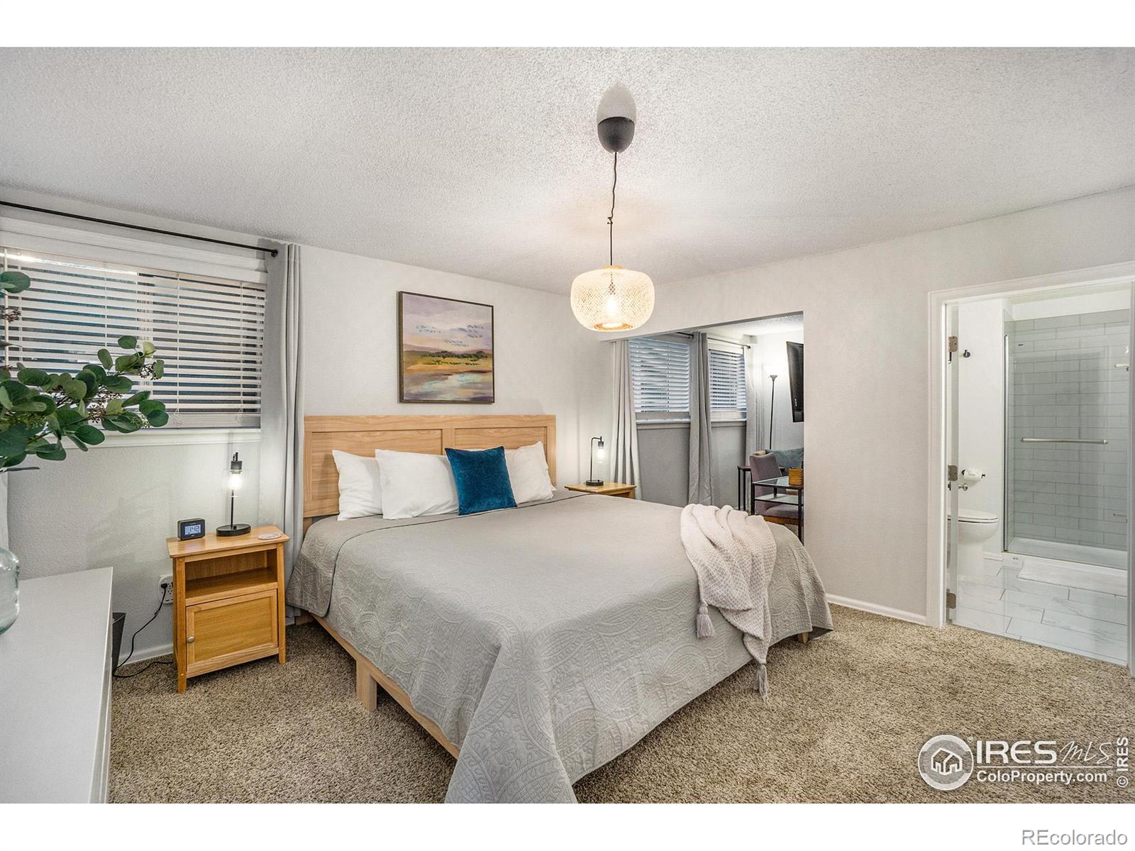 MLS Image #13 for 3100  regatta lane,fort collins, Colorado