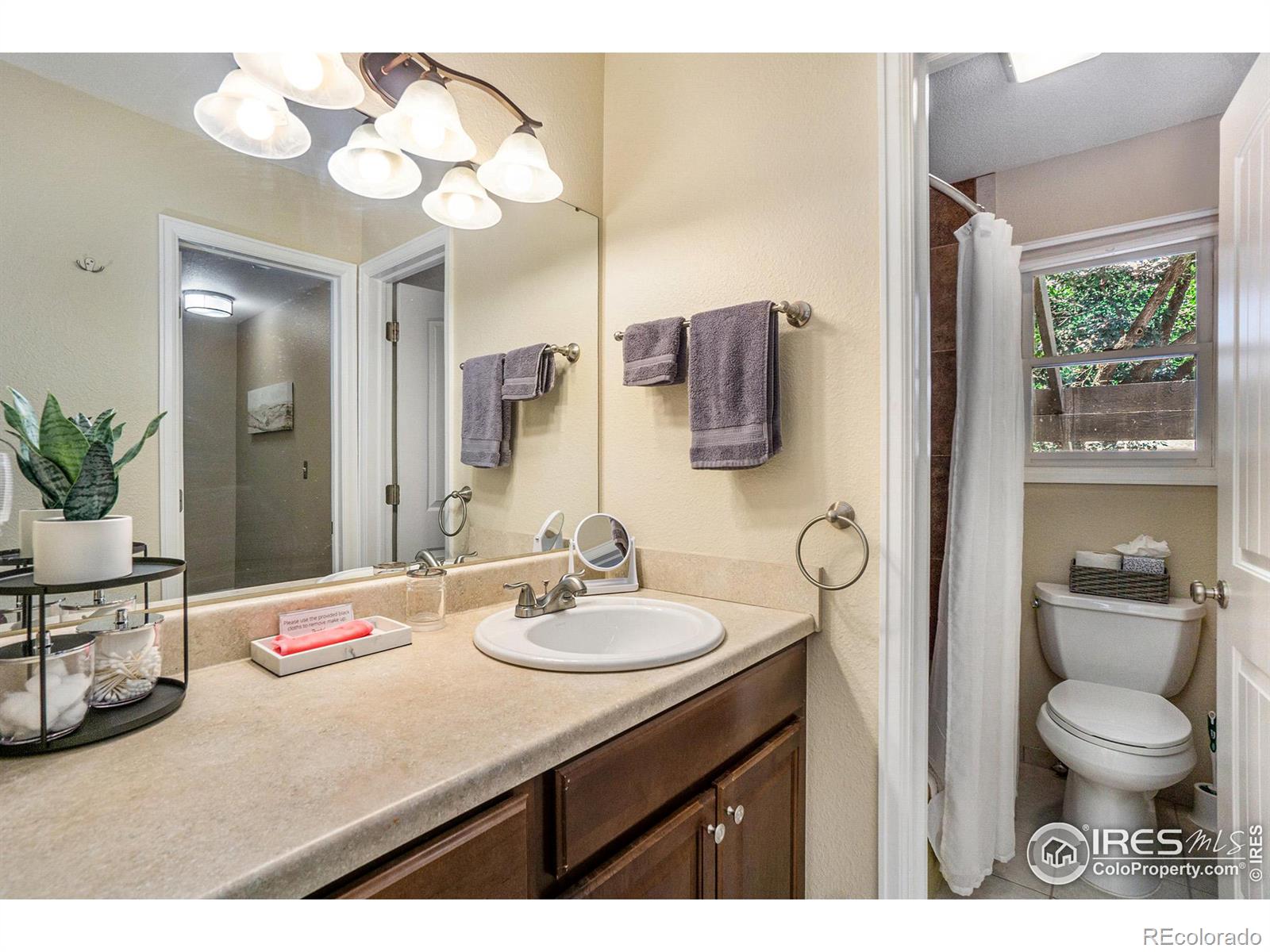 MLS Image #20 for 3100  regatta lane,fort collins, Colorado