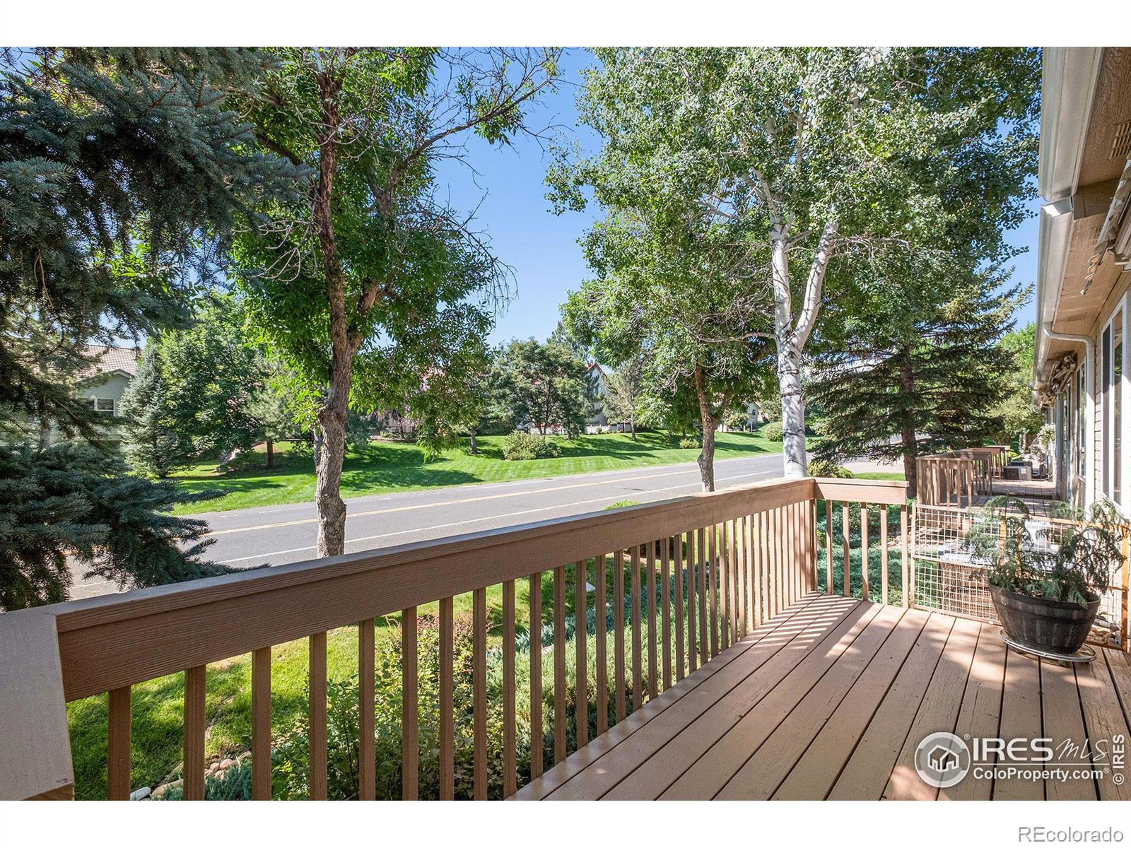 MLS Image #22 for 3626  wild horse court,loveland, Colorado